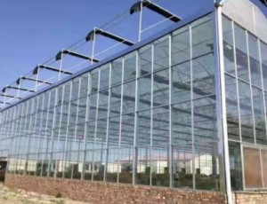 溫室大棚材料怎樣進行選擇