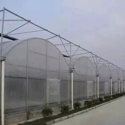 連棟薄膜溫室