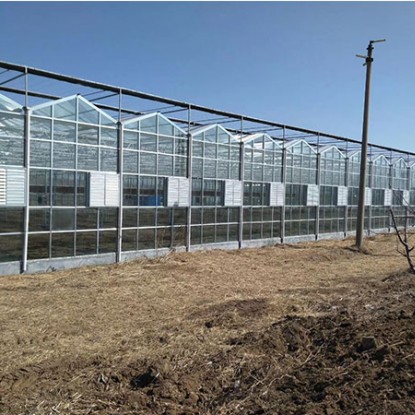 玻璃大棚