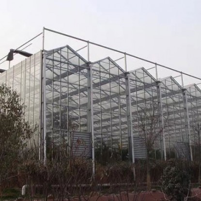 玻璃大棚